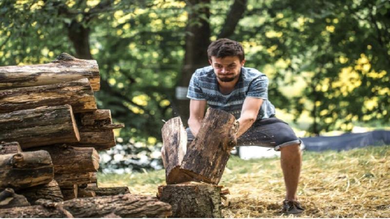 What to Expect From a Professional Tree Removal Service