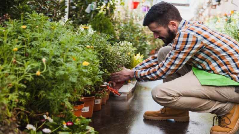 A Homeowner’s Guide to Measuring and Managing Outdoor Water Use